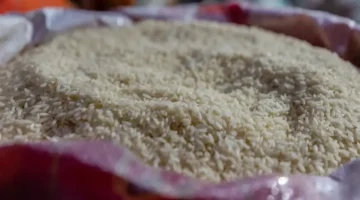 انخفاض طفيف.. أسعار الأرز الشعير تنخفض يوم 18 يناير 2026 بالأسواق